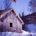 Tommy Frame Photo 7