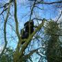 James Goodwin Photo 28