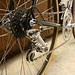 Allen Masi Photo 8