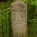 John Carney Photo 30