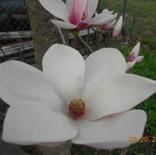 Roxanne Brown Photo 28