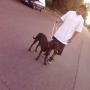 Hector Cisneros Photo 41