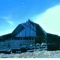 Dorothy Bridges Photo 11