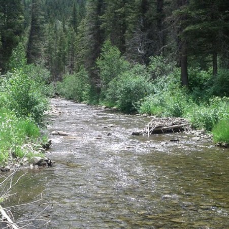 Jerri Mccullough Photo 5