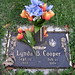 Lynda Cooper Photo 17