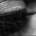 Elizabeth Lash Photo 22