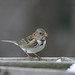 Brad Harris Photo 17