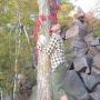 David Rivard Photo 39