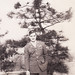 David Trees Photo 12