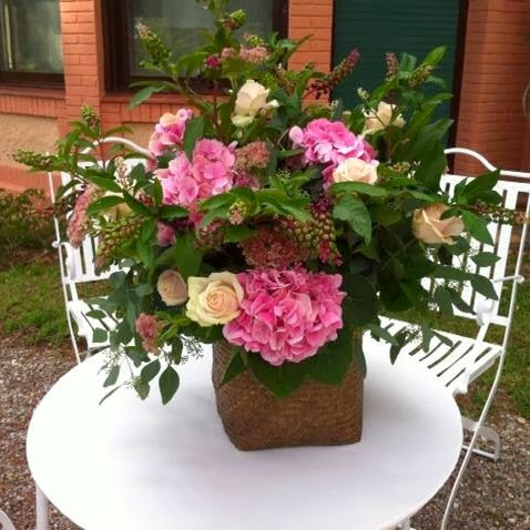 Mercedes Martinez Photo 32