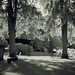 Chelsea Pierce Photo 17