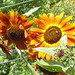 Phillip Flowers Photo 25