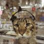 Mark Dodds Photo 34