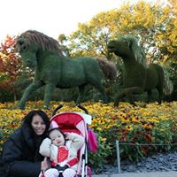 Van Pham Photo 4