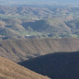 Mark Cardwell Photo 11