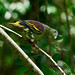 Bill Green Photo 48