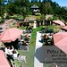 Peter Marin Photo 27