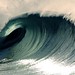 G Gonzalez Photo 7