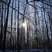 Jeff Winter Photo 29