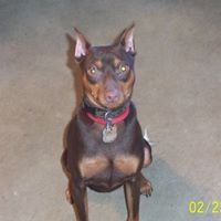 Bob Partridge Photo 24