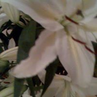 Aimee Hooper Photo 6
