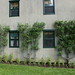 Nancy Mccabe Photo 15