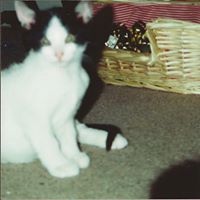 Melinda Bowman Photo 18