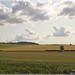 John Pickering Photo 50