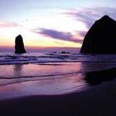 Cheri Ross Photo 10