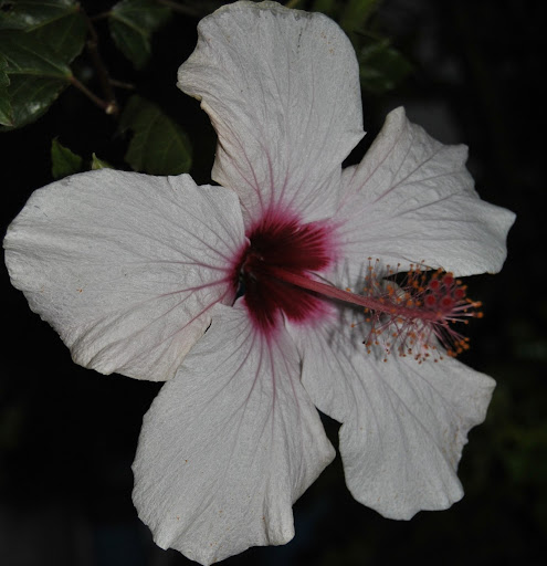 Heidi Barker Photo 33