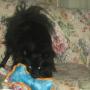 Debra Haley Photo 38