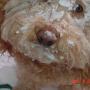Cindy Shumaker Photo 4