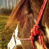 Janine Wells Photo 14