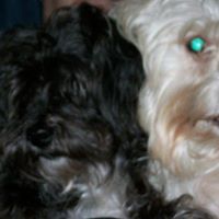 Janice Butcher Photo 8