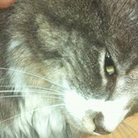 Roberta Olson Photo 6