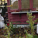 Linda Ward Photo 17