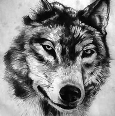 Anthony Wolf Photo 7