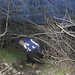 Jim Funk Photo 18