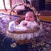 Jacob Pyles Photo 14
