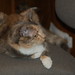 Emma Colbert Photo 12