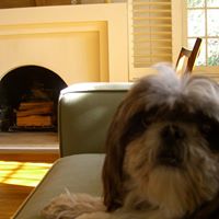 Janis Mckay Photo 18