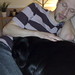 Michael Summers Photo 36
