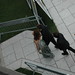 Susan Venezia Photo 13