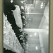 Chrystal Walls Photo 10