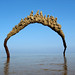 Mark Topf Photo 6