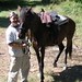 Sharon Hightower Photo 10