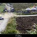 Andrew Weekes Photo 17