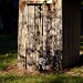 Joy Woodfin Photo 6