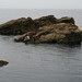 Mary Seal Photo 18