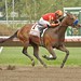 Haskell Watson Photo 9